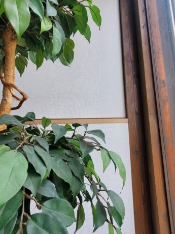 柏原市　八尾市　店舗　改装　内装リフォーム