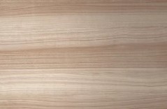 TOTOサザナのカラーバリエーションって？