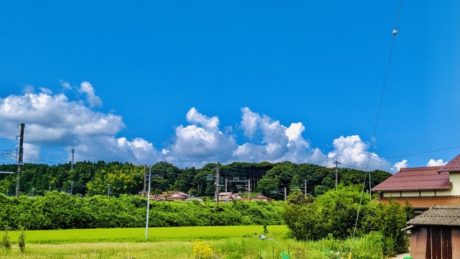 ◇◆◇ 夏季休業日のご案内 ◆◇◆