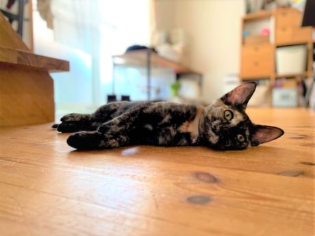 畳からフローリングへのリフォーム