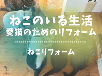 ねこのいる暮らし・猫と暮らすリフォーム