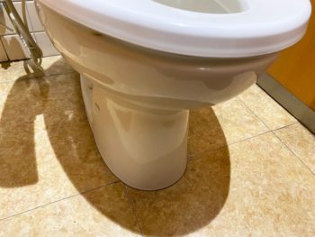 トイレの床はどれが良い?選ぶポイントは?トイレ工事はトイレドックマザーリーフへお任せください
